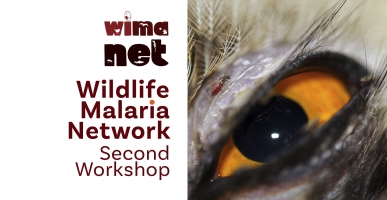 2nd Wildlife Malaria NETwork Workshop